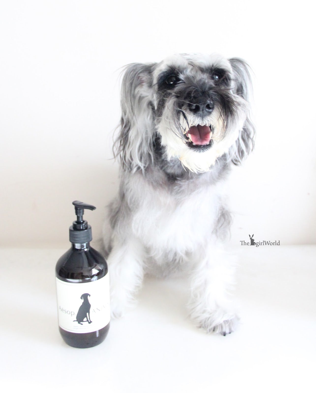 Aésop animal shampoing pour chien 500ml miniature 3