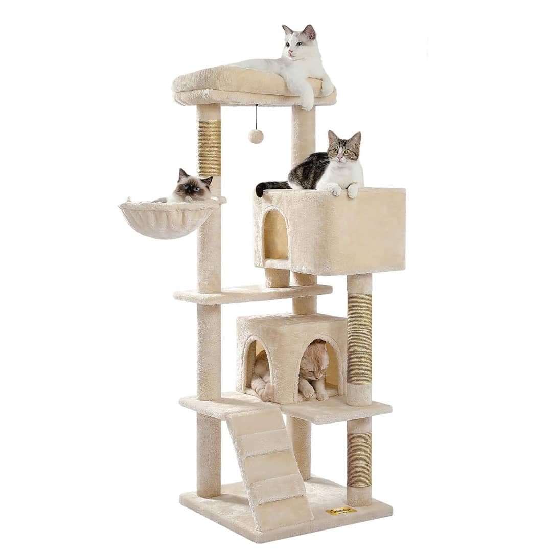 Arbre à Chat 170 cm – Aire de Jeu Complète pour Chats Actifs miniature 2