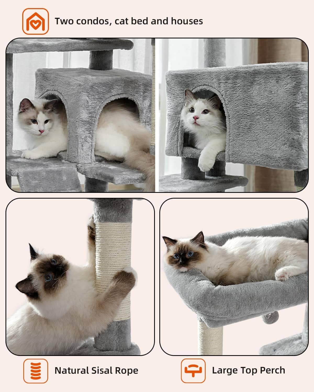 Arbre à Chat 170 cm – Aire de Jeu Complète pour Chats Actifs miniature 8