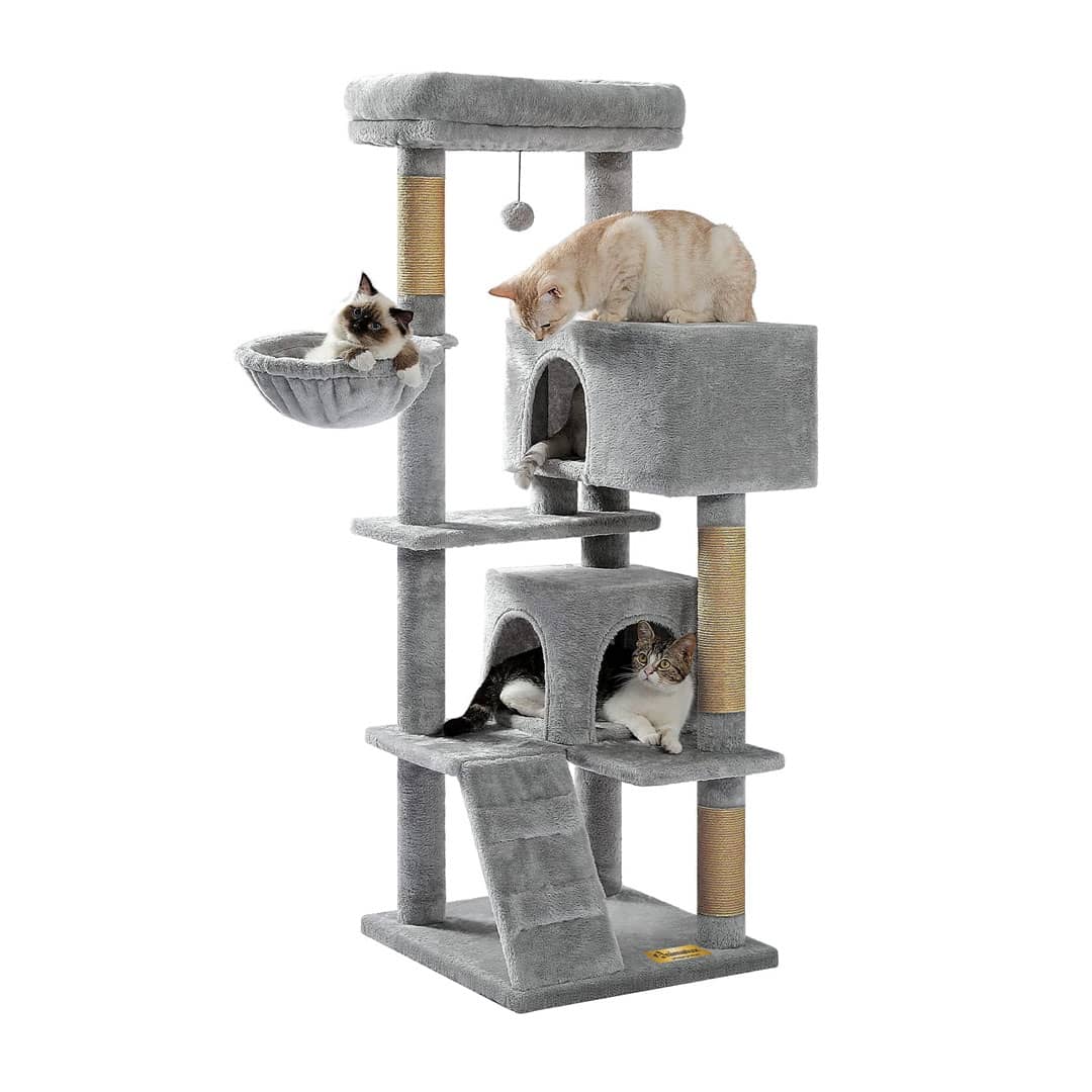 Arbre à Chat 170 cm – Aire de Jeu Complète pour Chats Actifs miniature 7