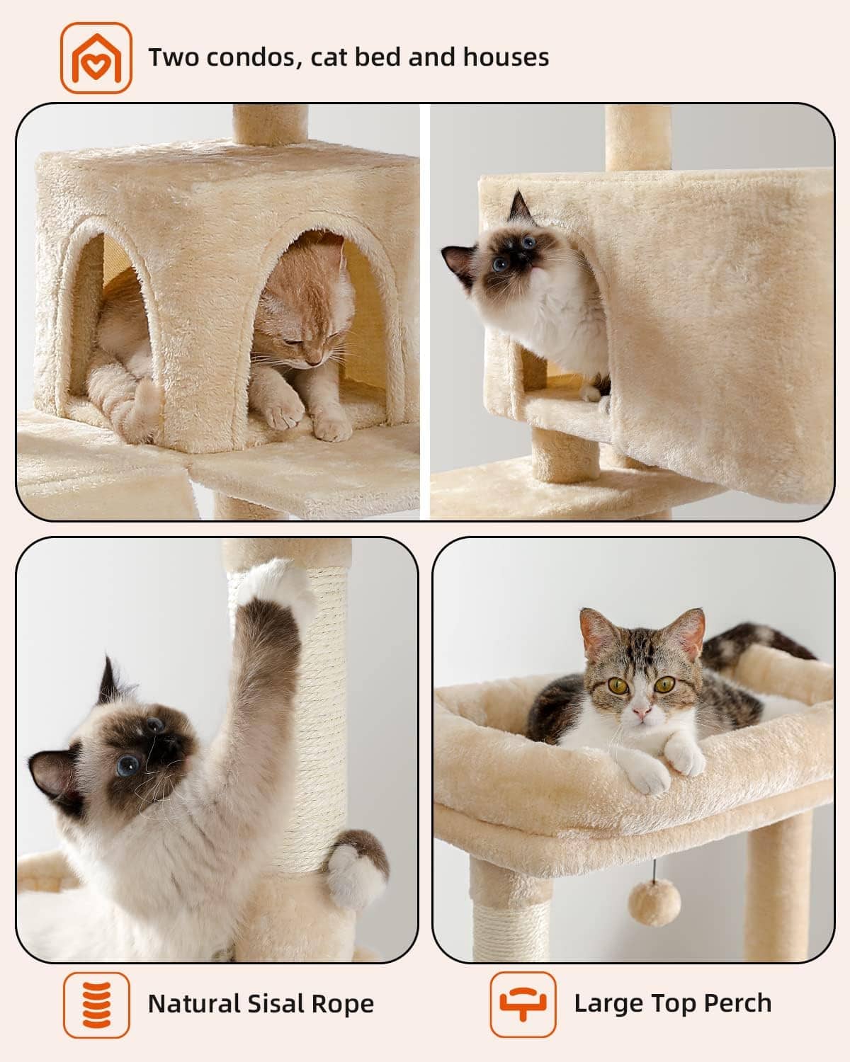 Arbre à Chat 170 cm – Aire de Jeu Complète pour Chats Actifs miniature 3