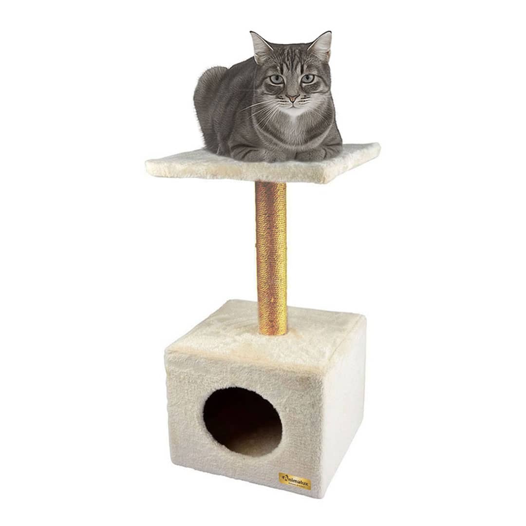 Arbre à Chat avec Niche et Griffoir – 60 cm miniature 2