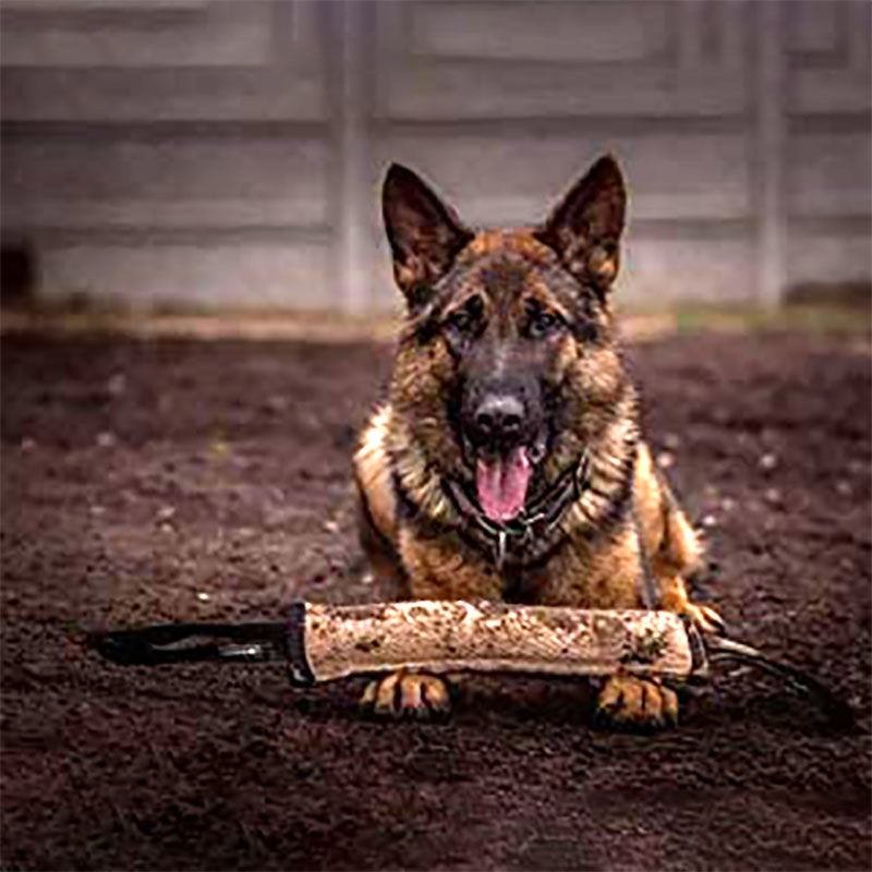 Boudin en Toile de Jute avec Support pour chien miniature 3