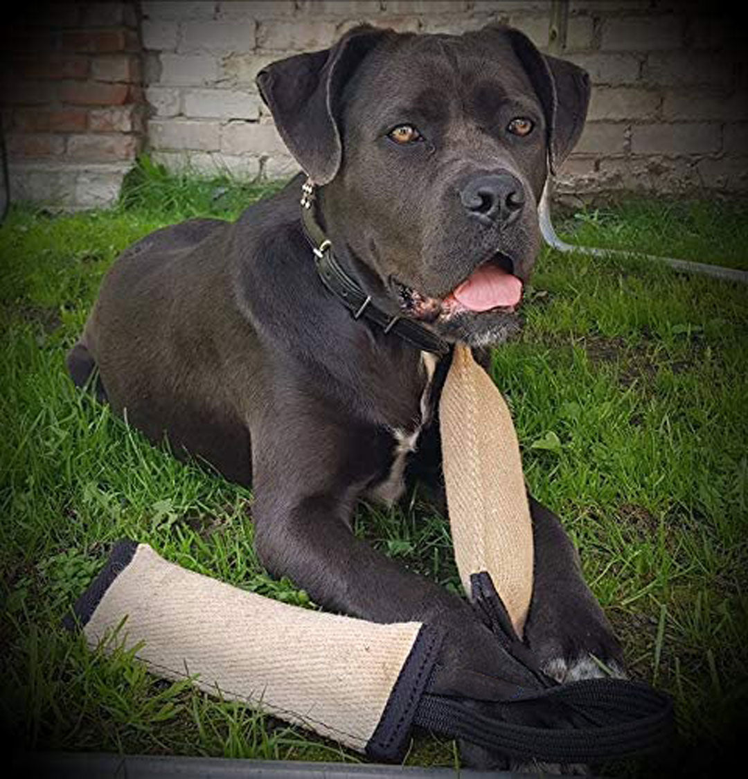 Boudin en Toile de Jute avec Support pour chien miniature 2
