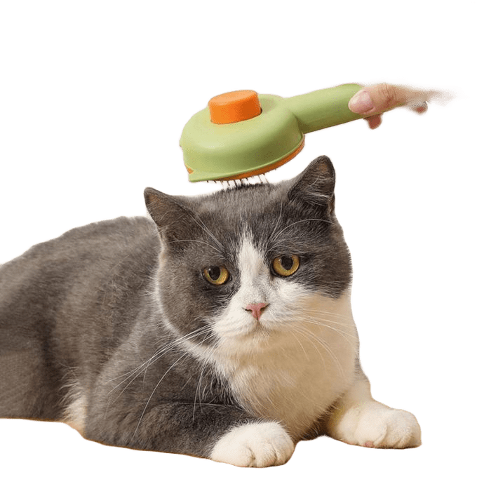 Brosse de toilettage pour chats d'intérieur en acier inoxydable miniature 2