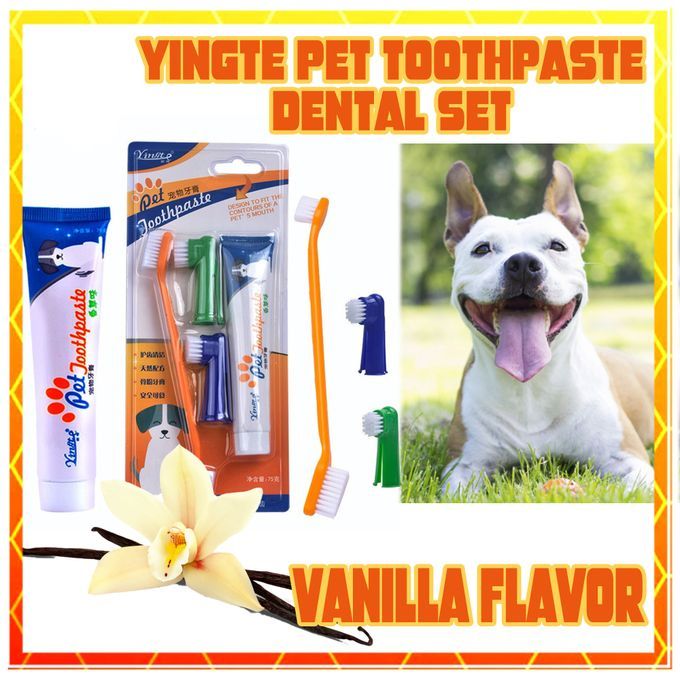 Brosse et dentifrice pour chien, soins bucco-dentaires pour chiens miniature 3