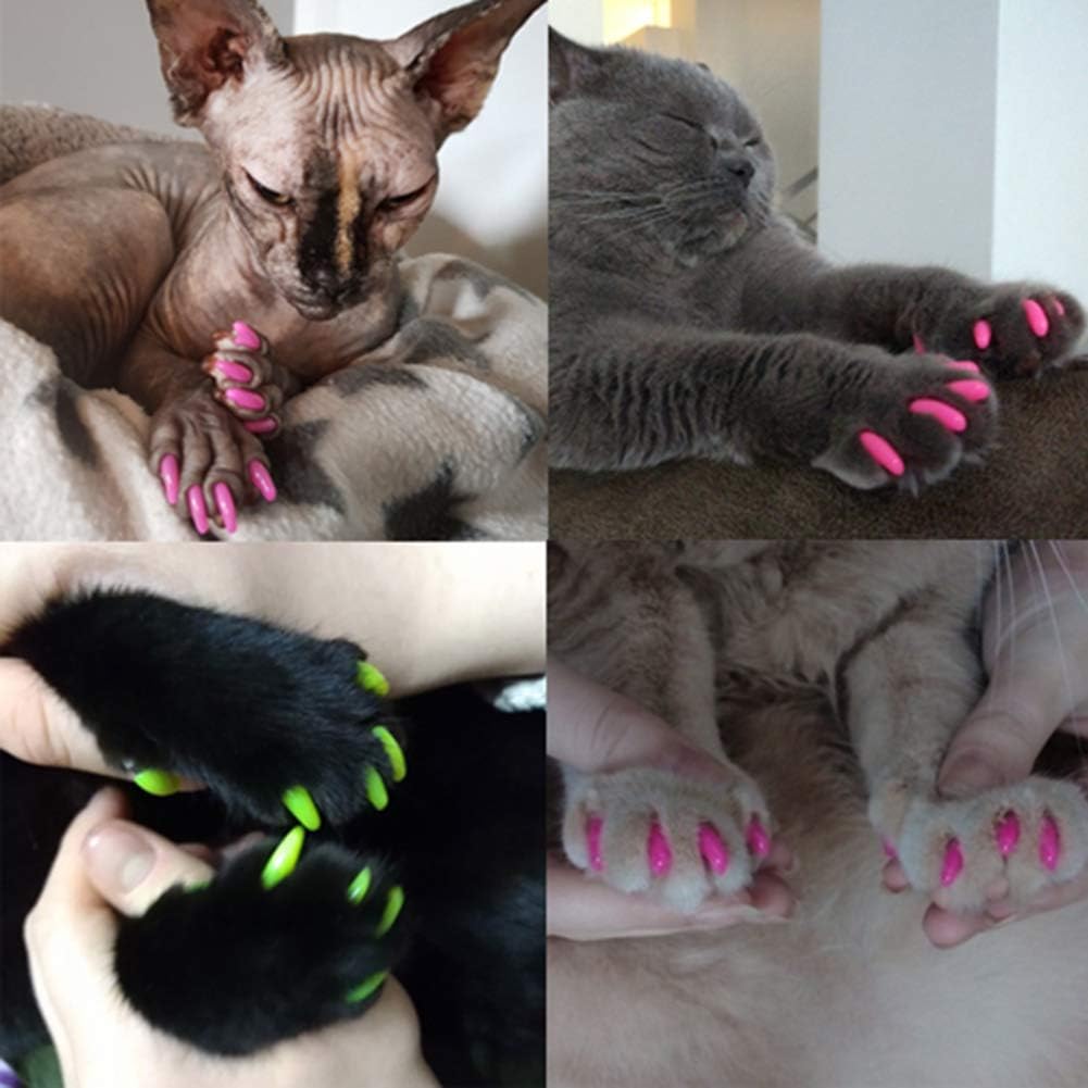 Capsules d'Ongles Colorés pour Chat miniature 3