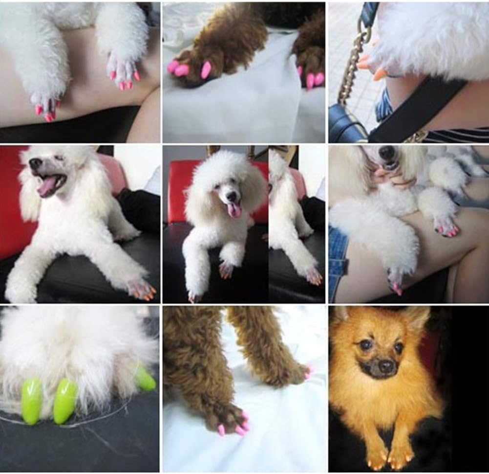 Capsules d'Ongles Colorés pour Chat miniature 2