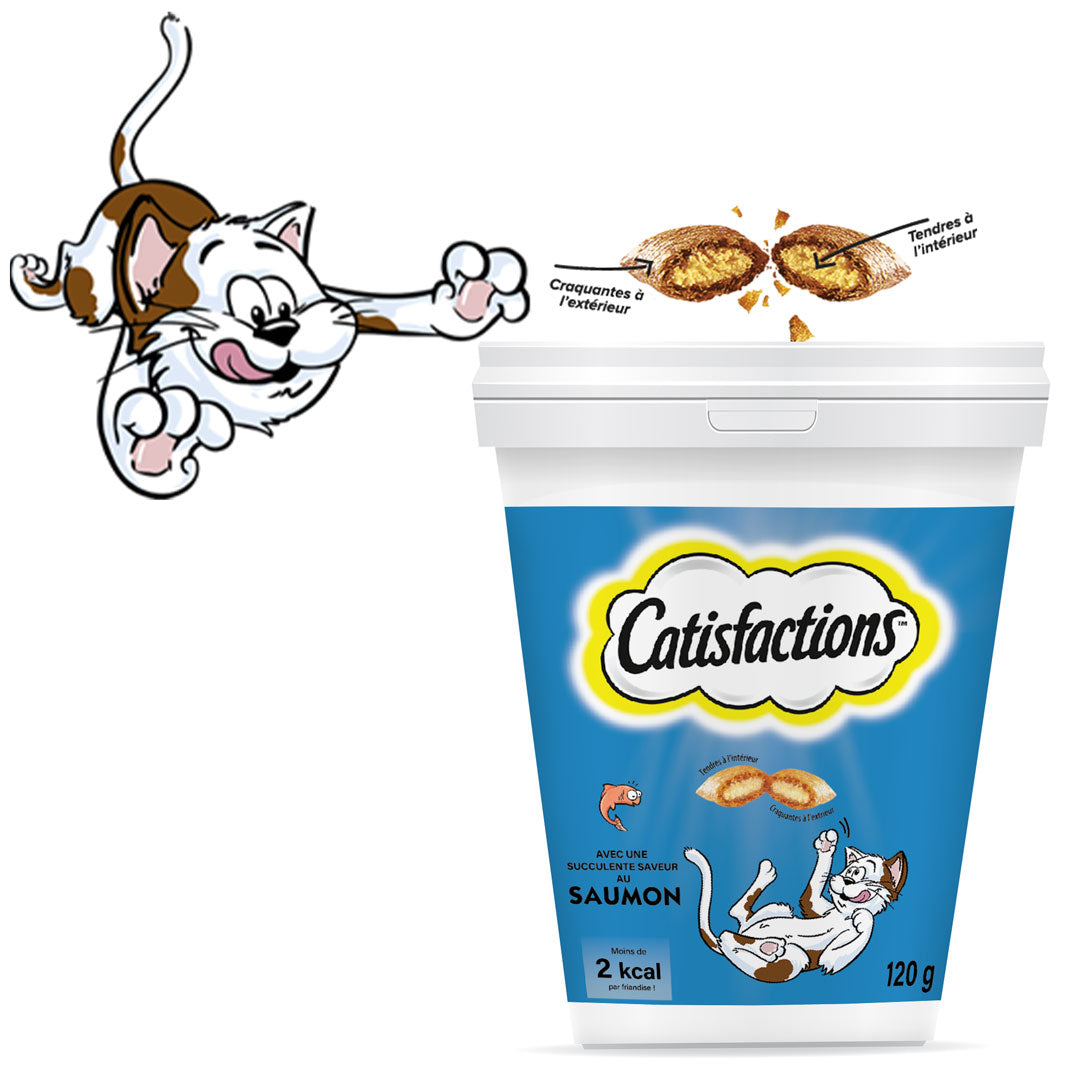 CATISFACTION  Friandise POUR CHAT au saumon 120gr miniature 2