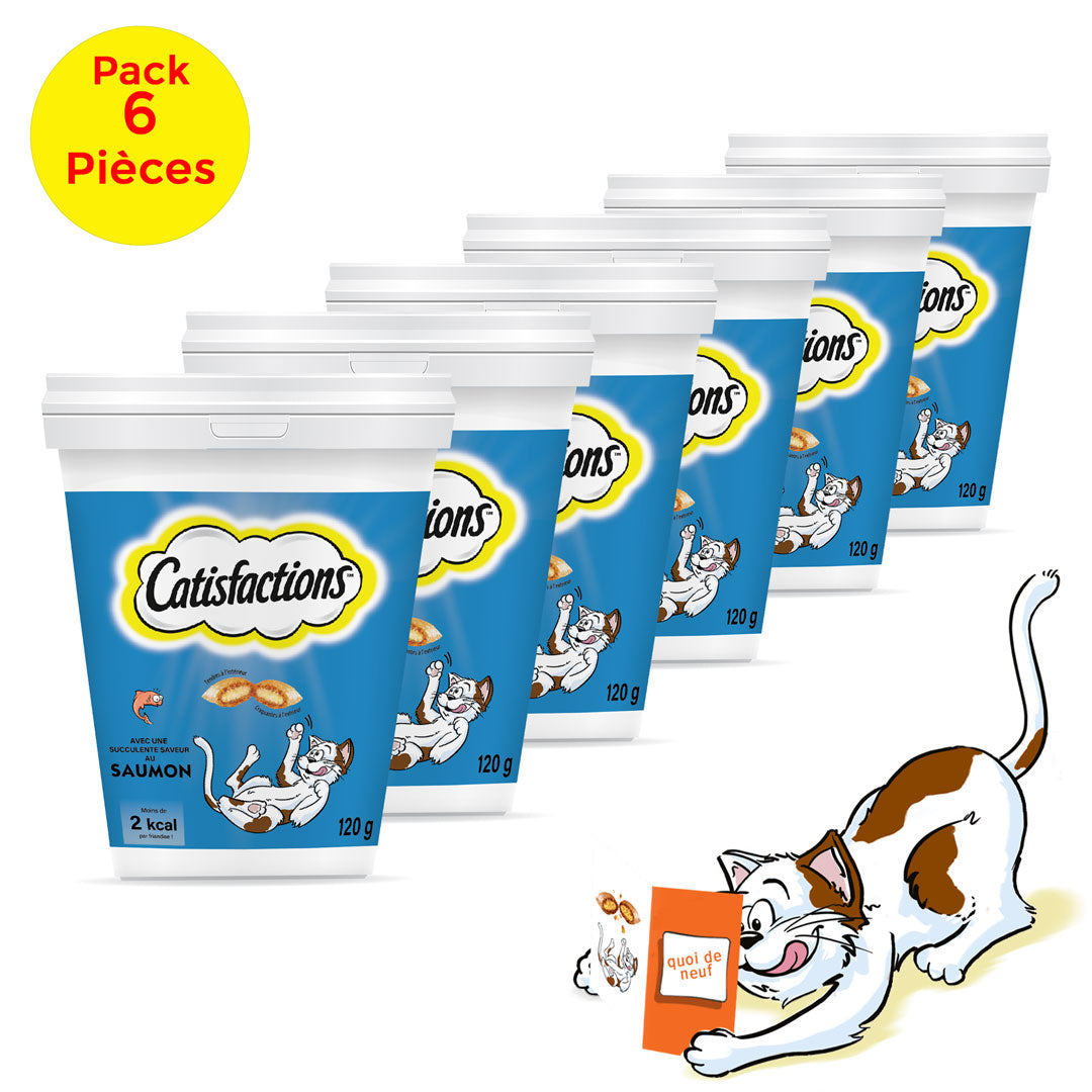 CATISFACTION pack 6piéces Friandise saumon pour chat 120gr miniature 2
