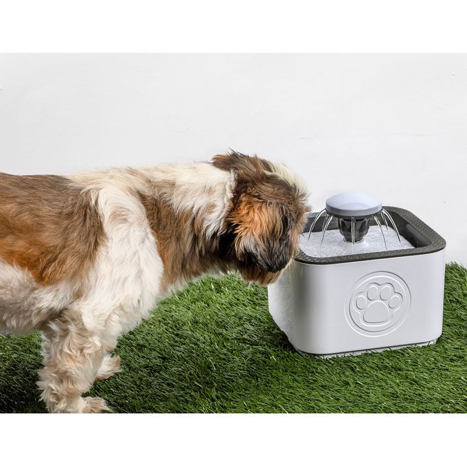 Fontaine portative pour animaux de compagnie sans BPA miniature 2