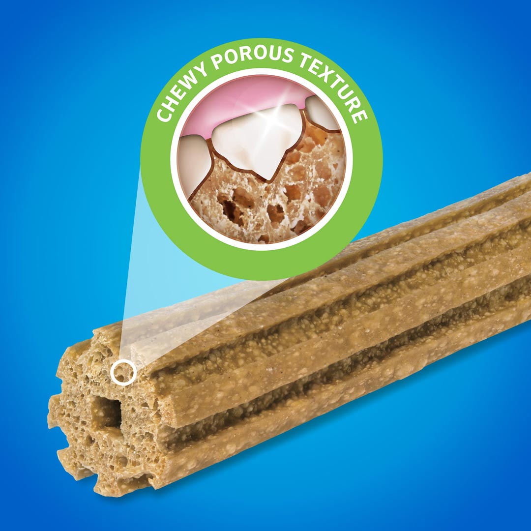 Friandise Bâtonnets À Mâcher  Pour Chien  Medium  Dentalife miniature 2