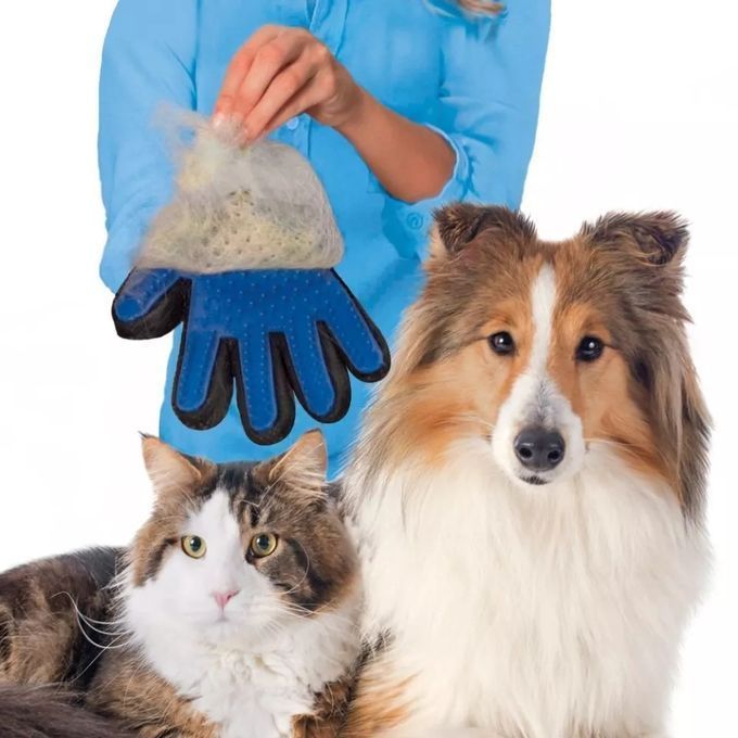 Gant de nettoyage pour chien&chat couleur bleu — 1