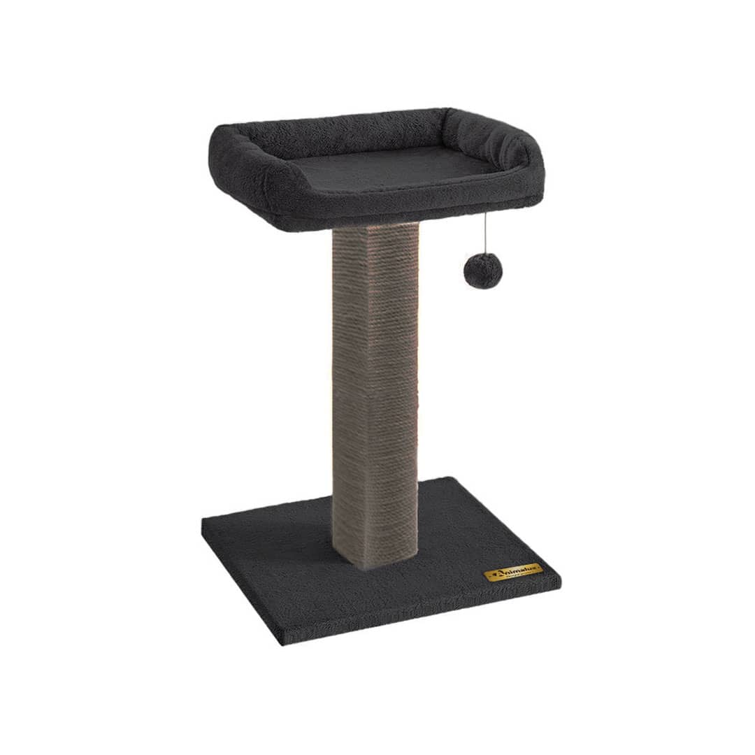 Griffoir pour chat avec Lit rembourré & jouet suspendu miniature 3