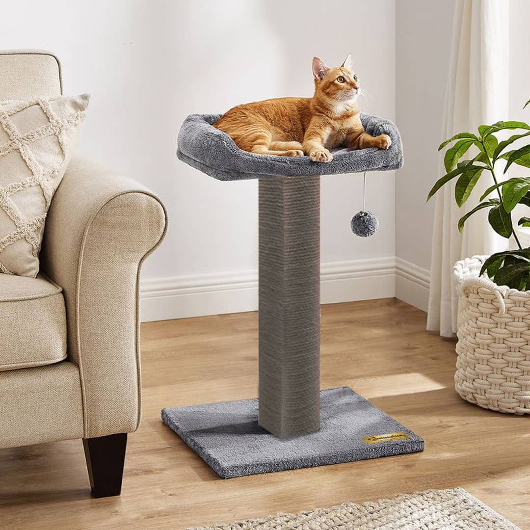 Griffoir pour chat avec Lit rembourré & jouet suspendu miniature 2
