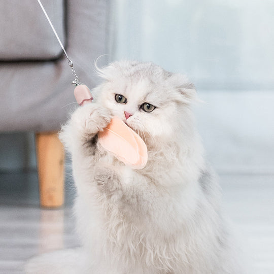 Jouet avec plume et laser pour chat miniature 2