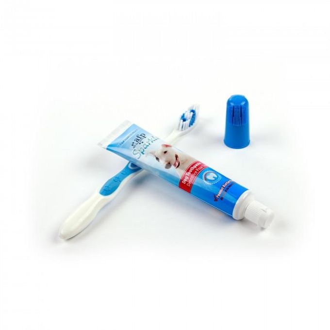 Kit dentaire – brosse et dentifrice beurre cacahuète miniature 2