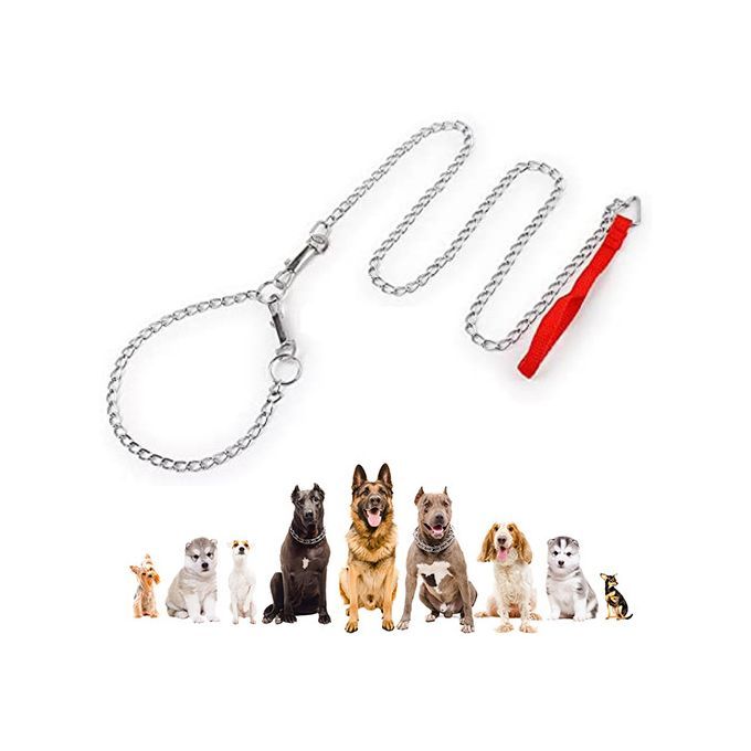 laisse de chaîne en métal robuste pour chiens de petite, moyenne et grande taille miniature 2