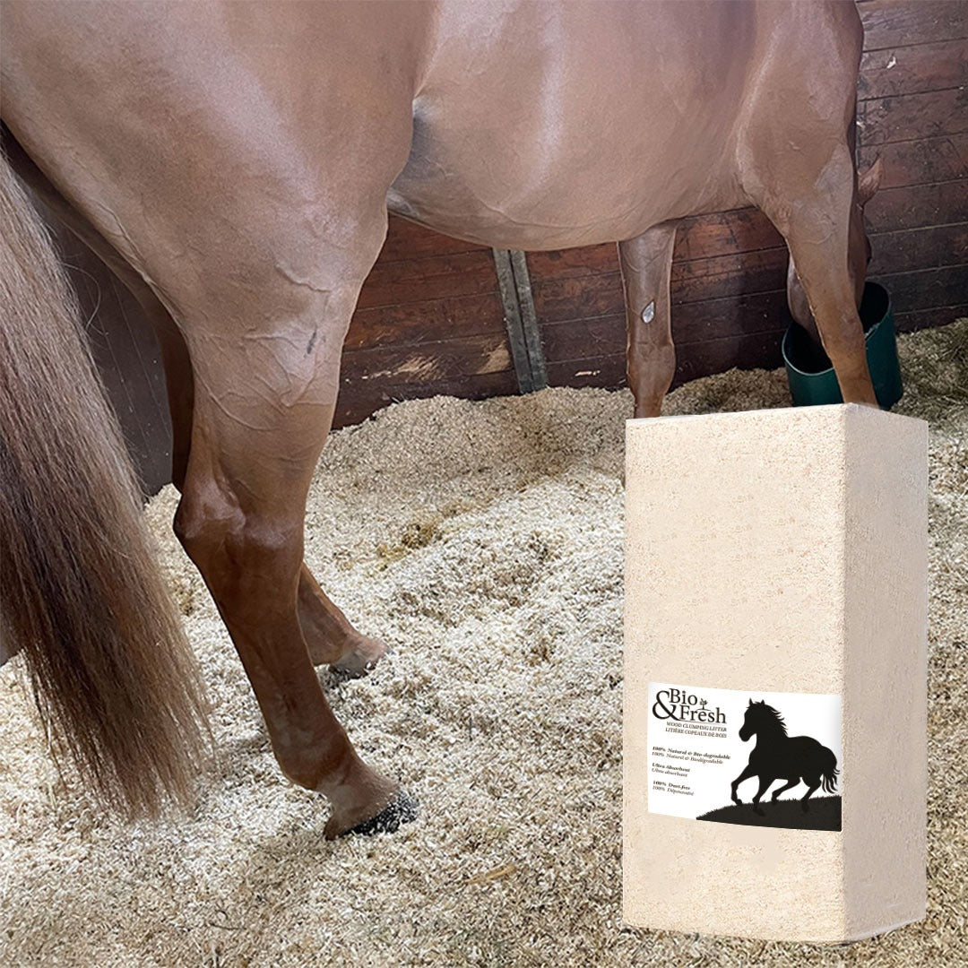 Litière Absorbante  pour chevaux en bois miniature 3