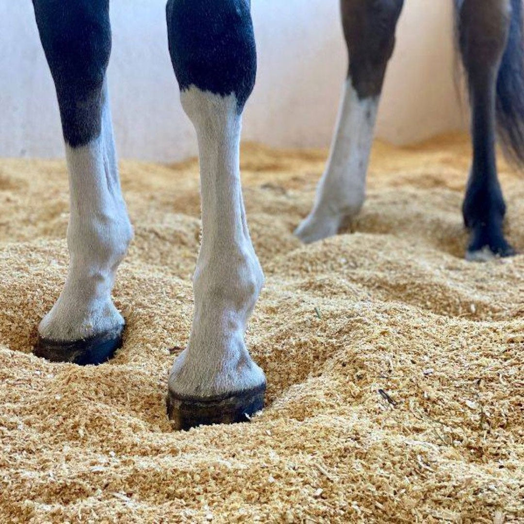 Litière Absorbante  pour chevaux en bois miniature 2