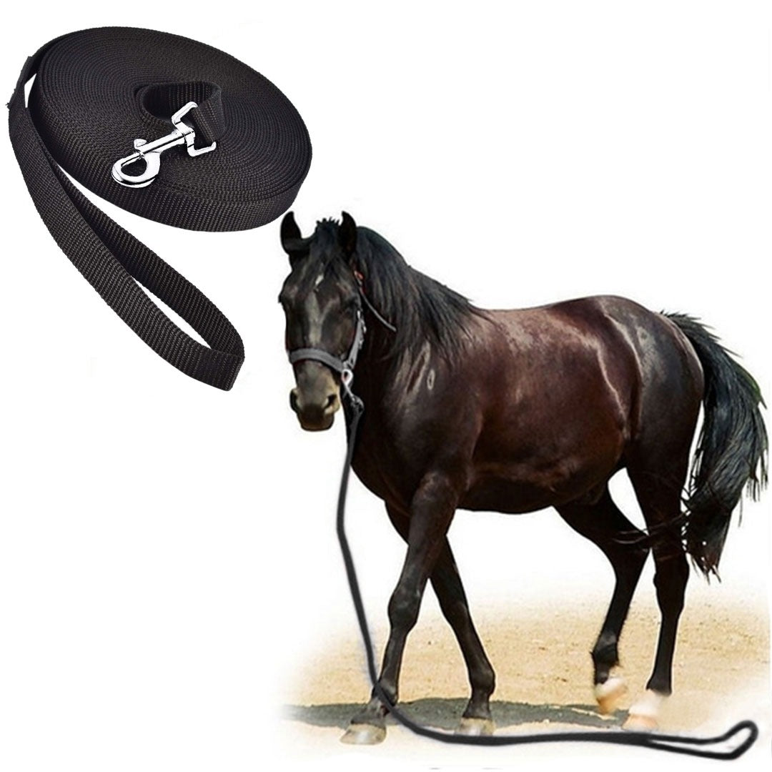 Longe de Travail Pour Cheval 20M — 1