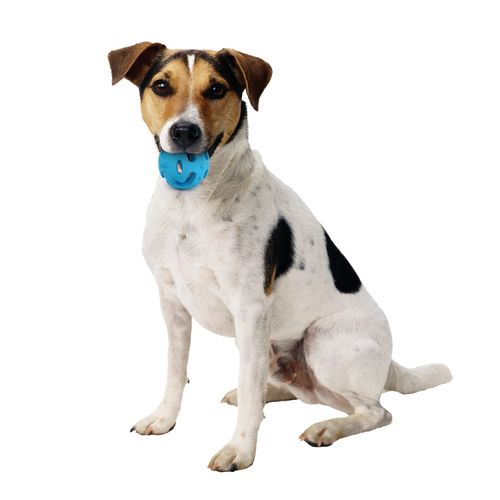 Meta ball rebondissante caoutchouc dur miniature 2
