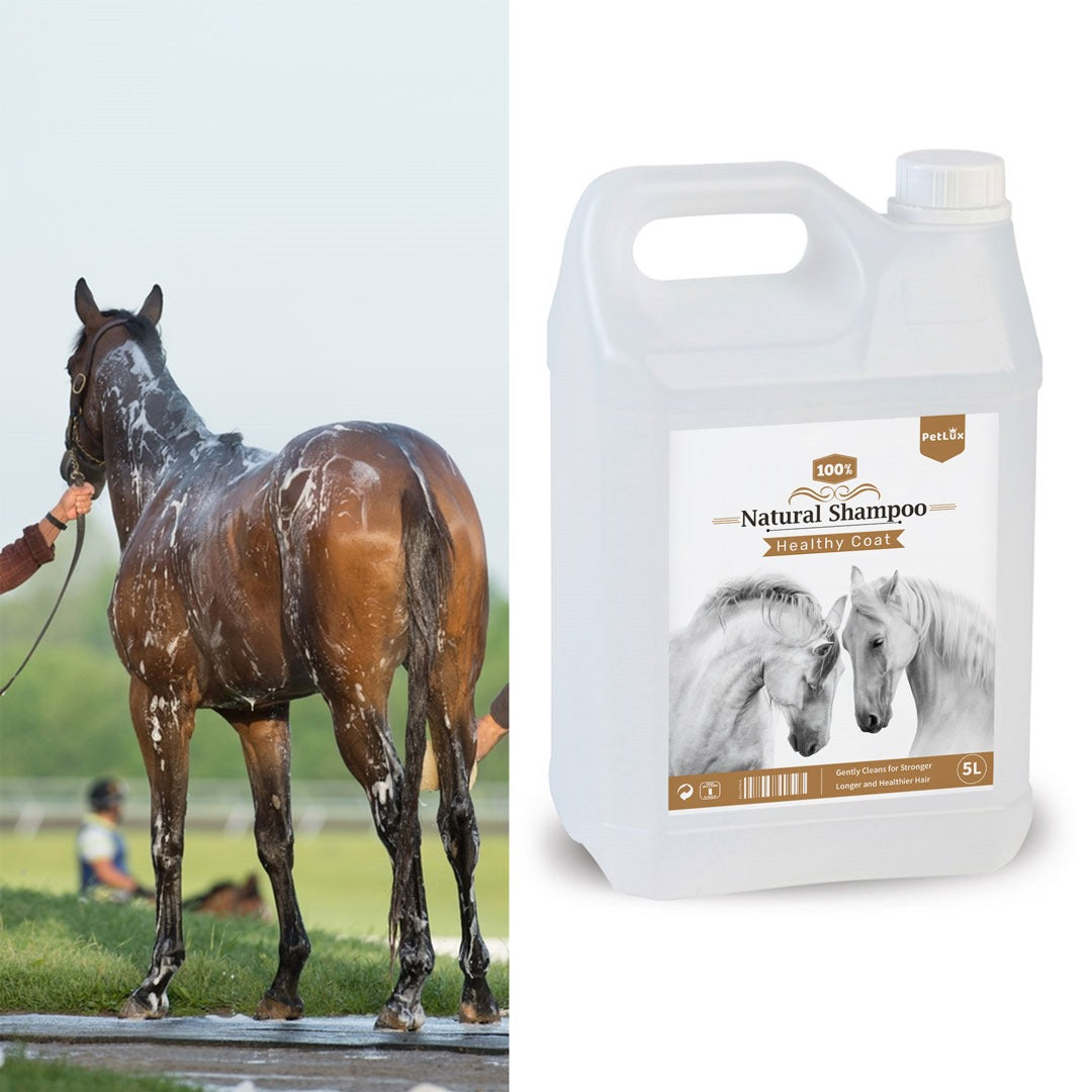 Naturel shampoing pour cheval 5L miniature 2