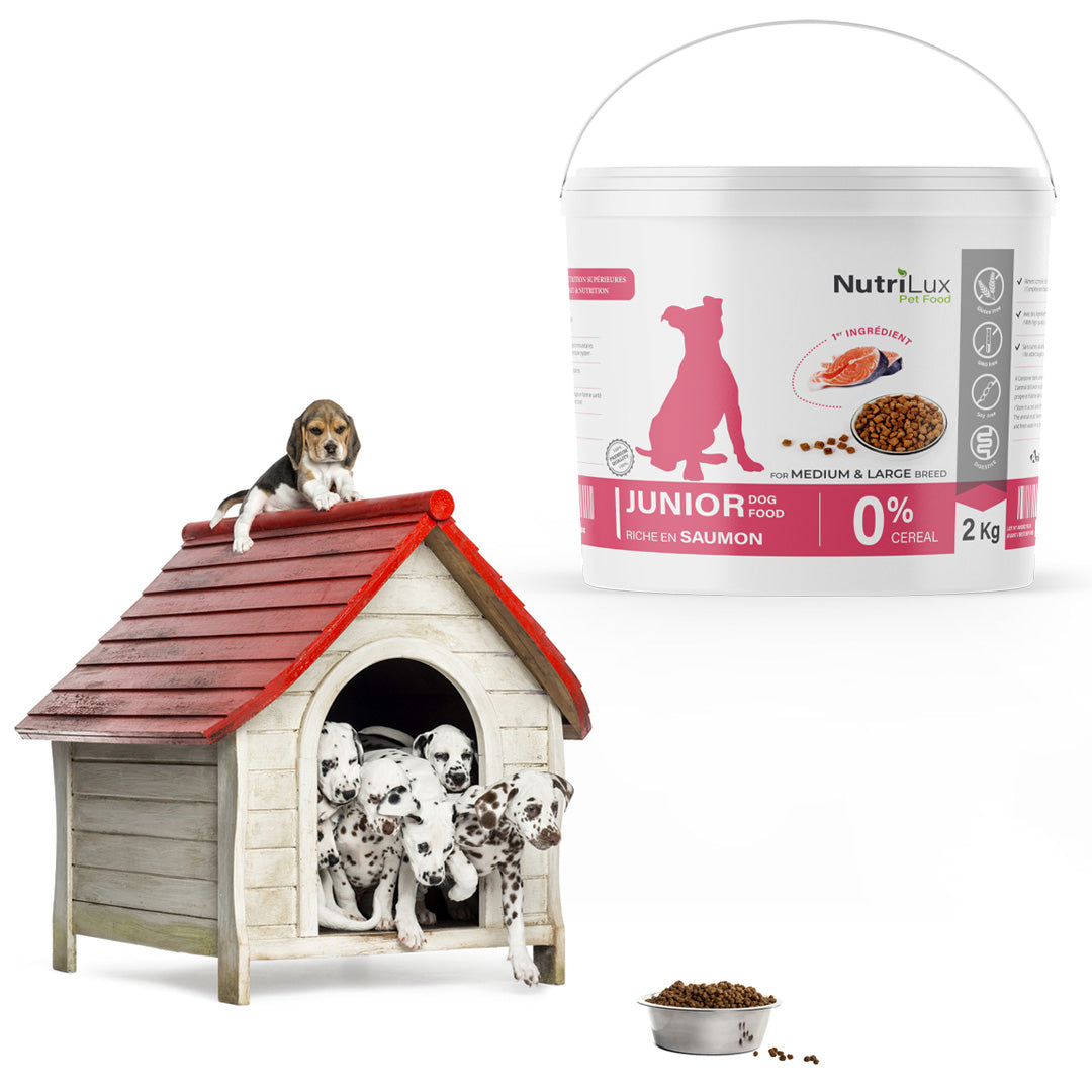 Nutrilux Croquettes chien MINI JUNIOR sans céreal riche en saumon 2kg miniature 2
