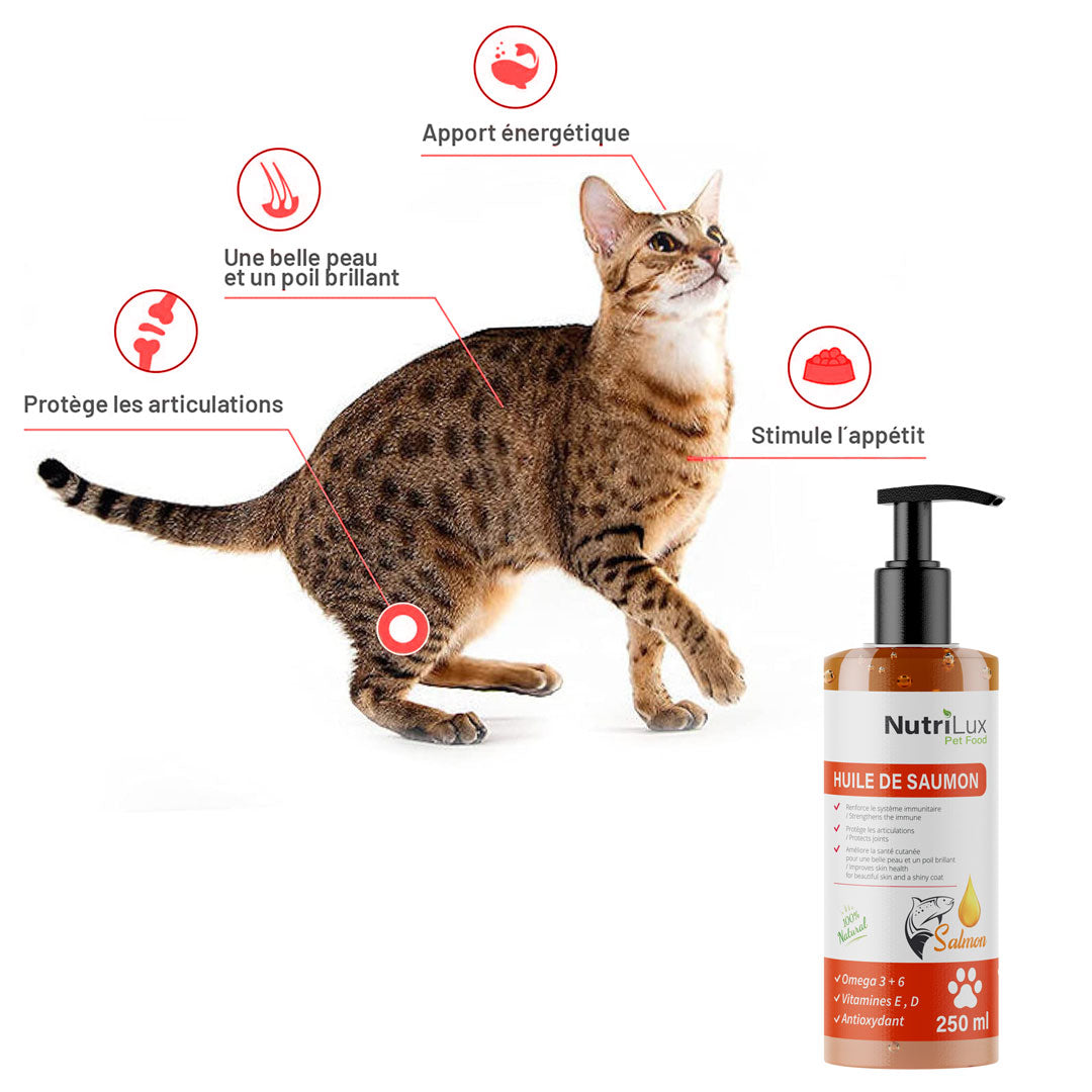 Nutrilux HUILE DE SAUMON 250ML POUR CHAT& CHIEN miniature 2