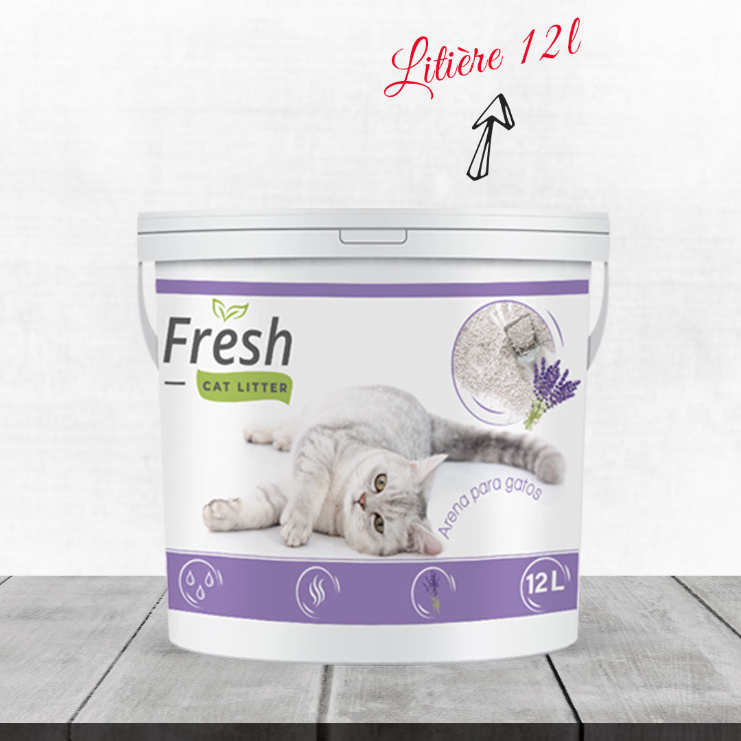 Pack Chatons All In One Nutrilux : Croquettes et Litière miniature 5