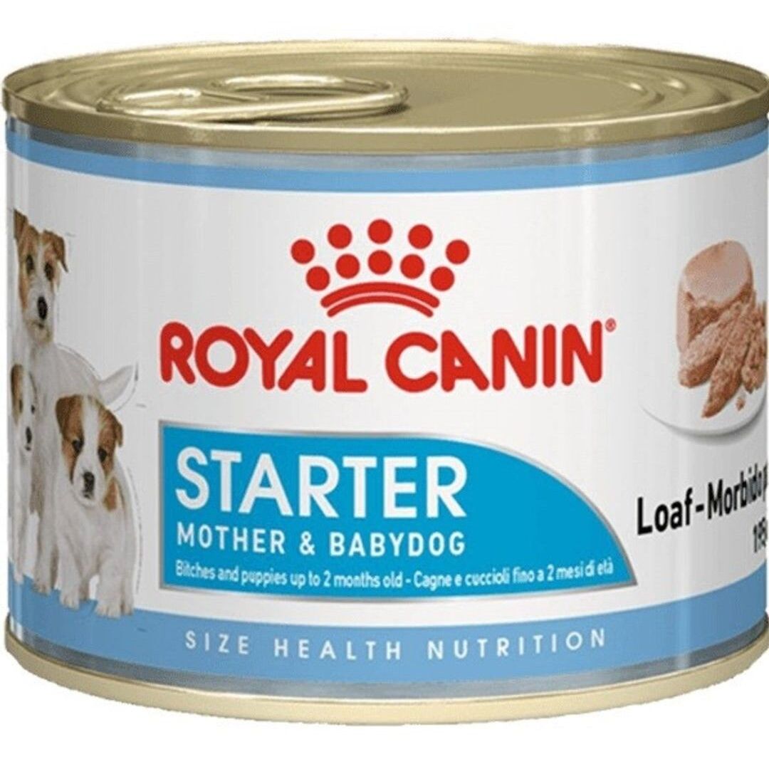 Pâté Royal Canin Starter Mousse — 1