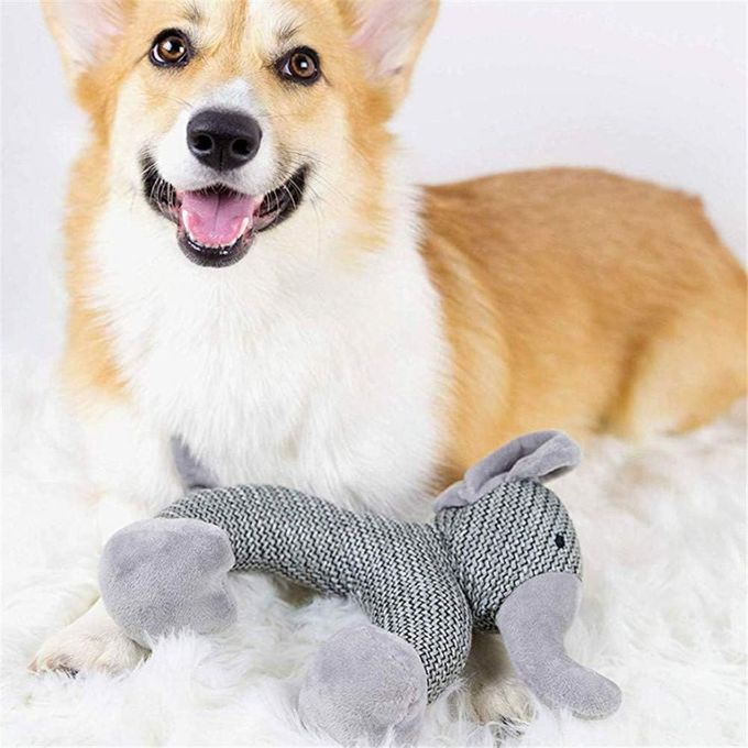 Peluche à Macher pour Chien Chien Molaire miniature 3