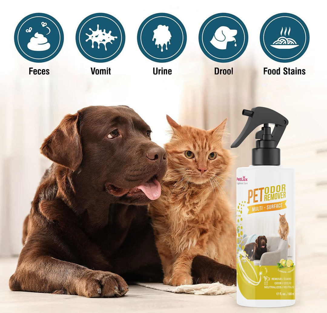 Petlux Déodorant pour animaux de compagnie spray chien &chat miniature 2