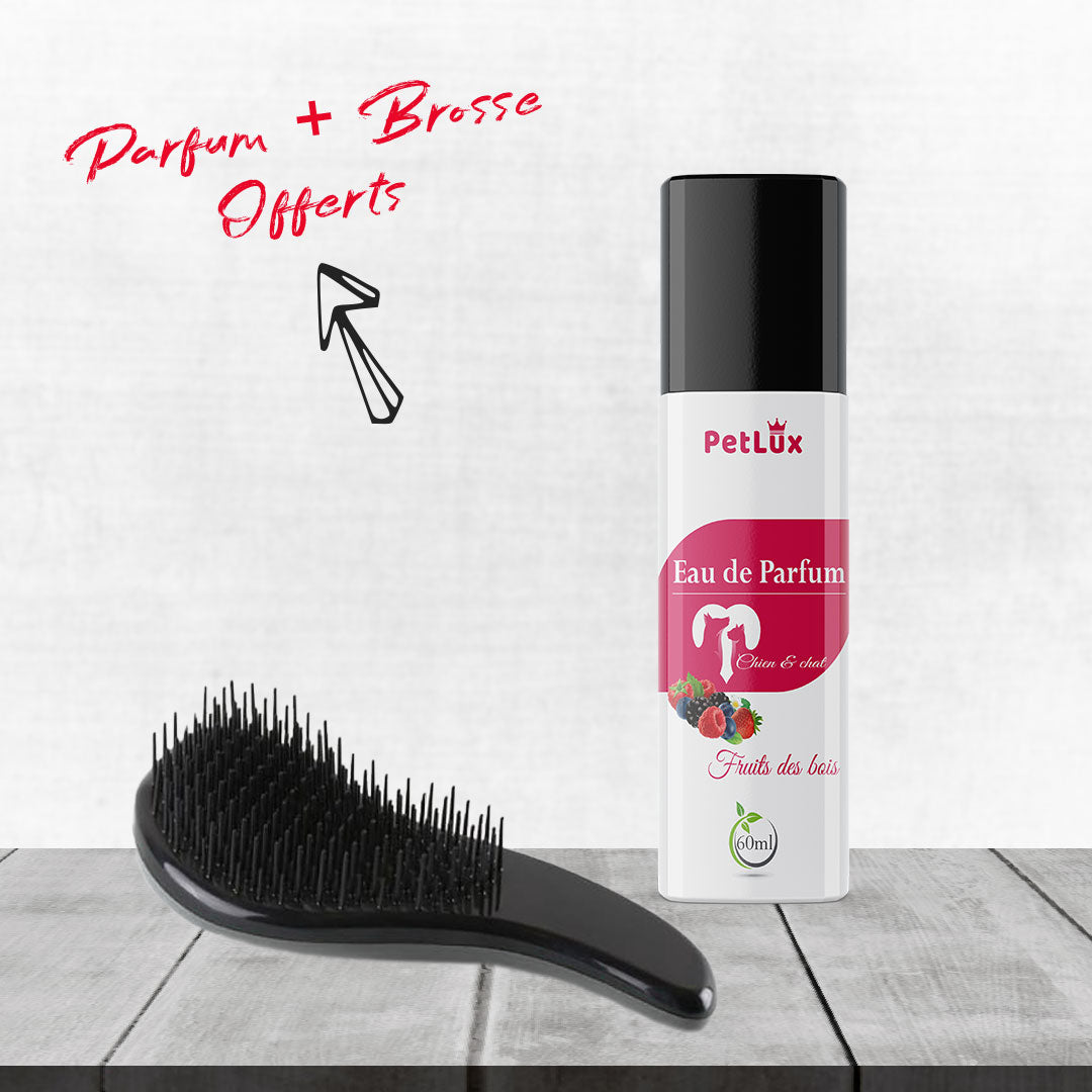 Petlux PACK hygiène POUR CHIEN miniature 6
