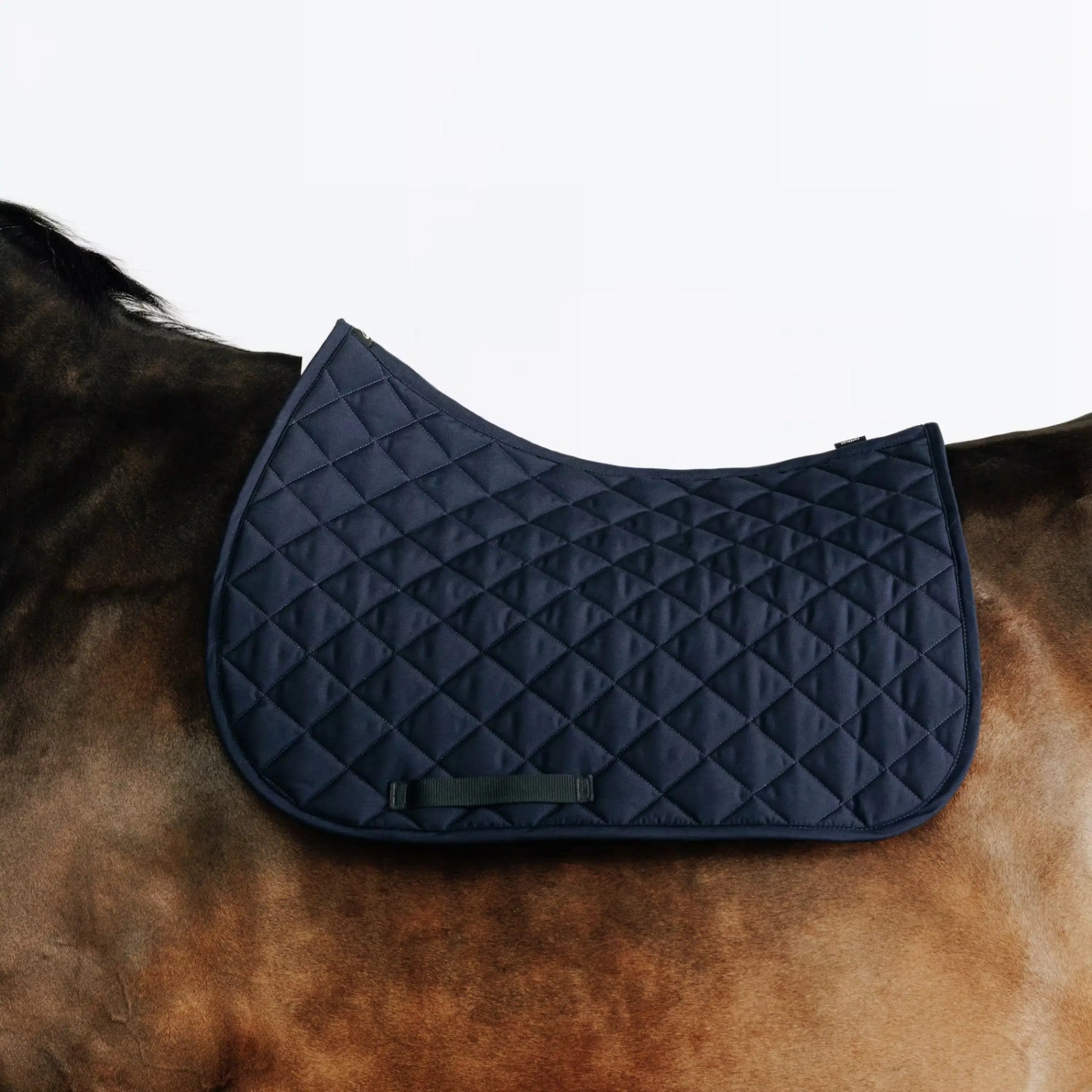 Tapis de Selle Cheval Moelleux au Maroc : Confort et Stabilité Premium
