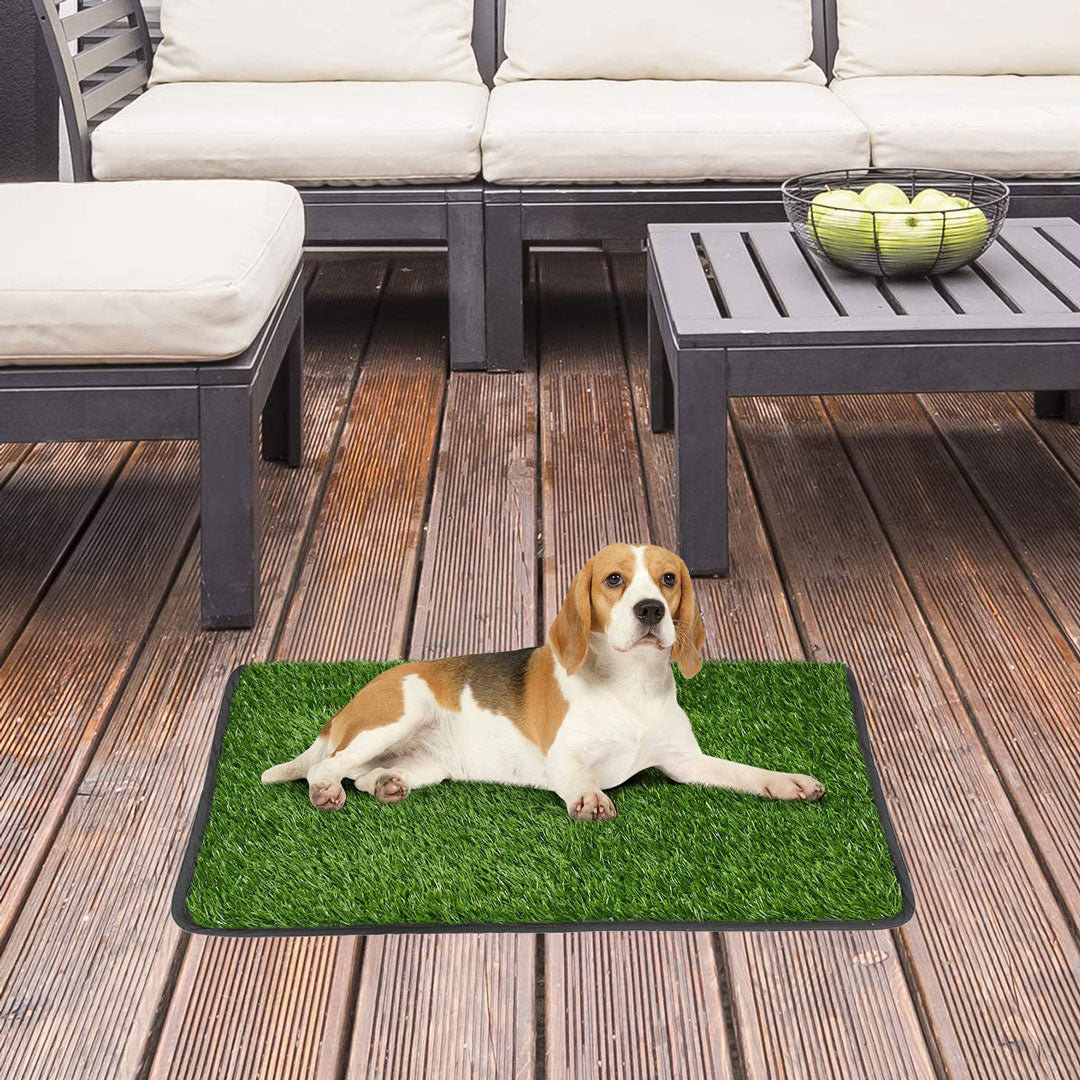 Tapis gazon vert pour chien miniature 3
