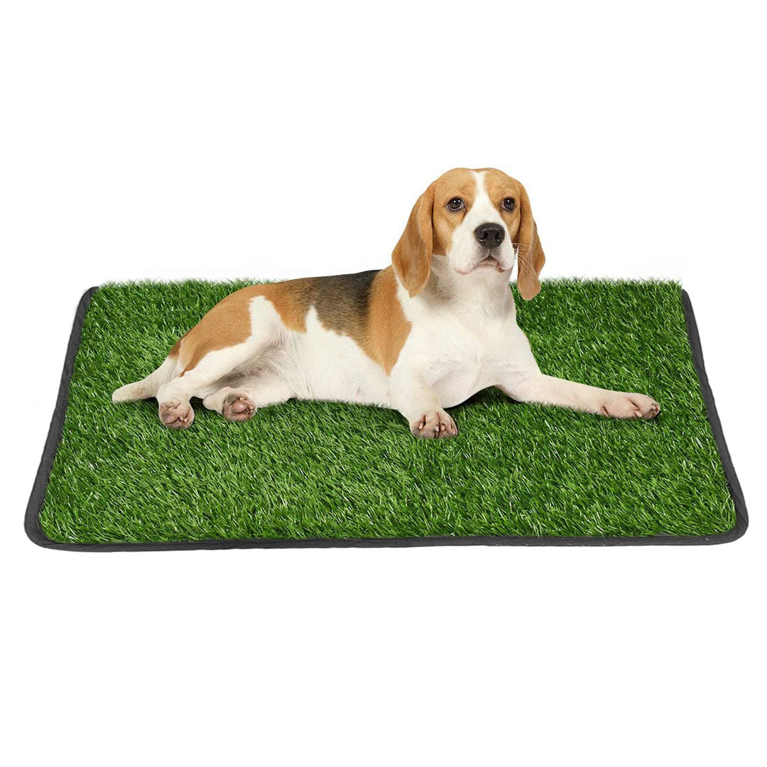 Tapis gazon vert pour chien — 1