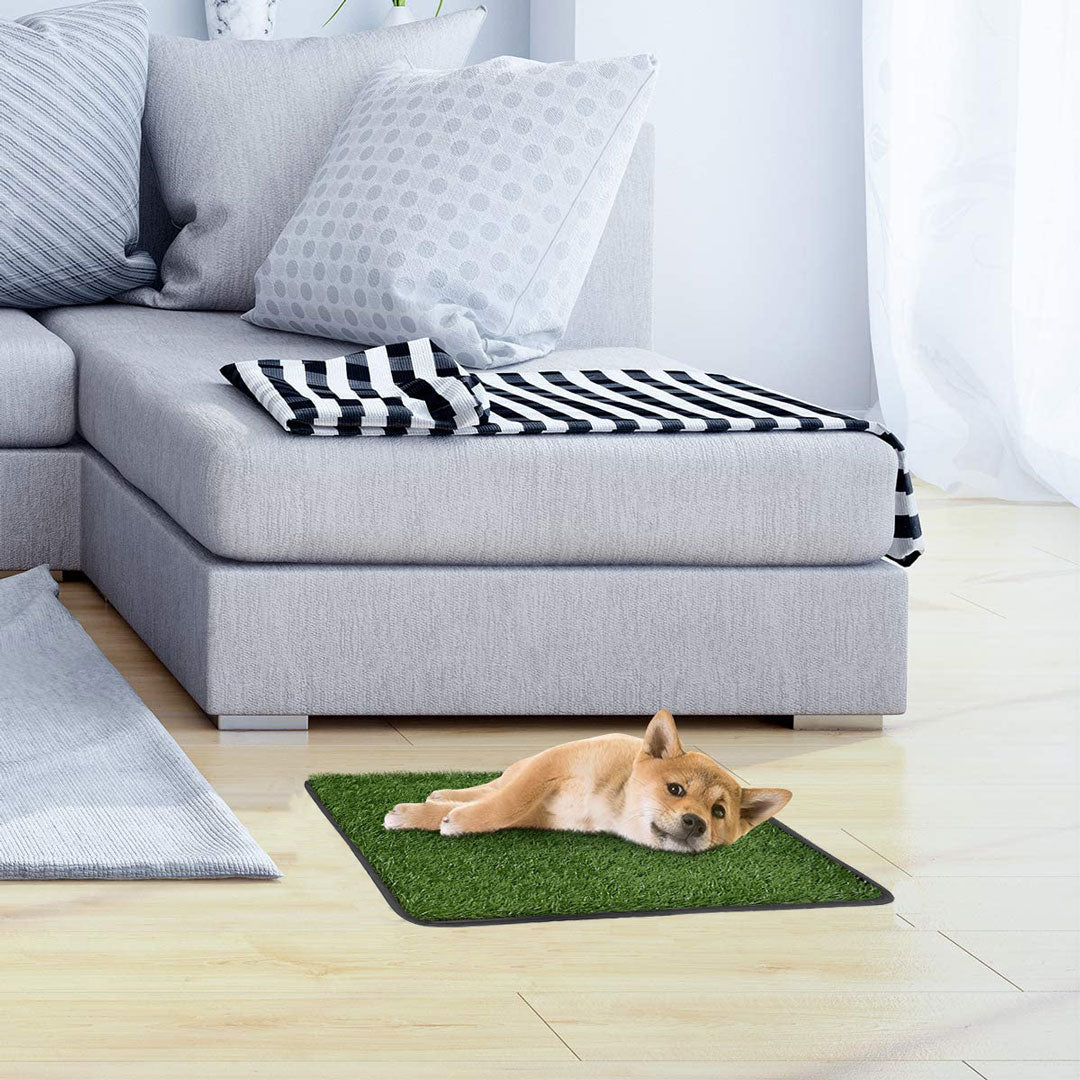Tapis gazon vert pour chien miniature 2