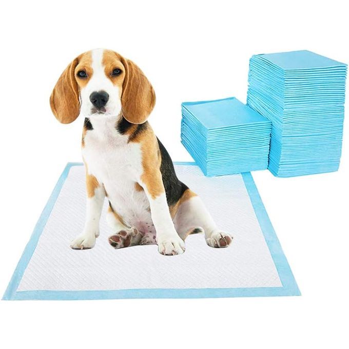 Tapis Hygiénique d'Entraînement Ultra Absorbant pour Chiens miniature 3