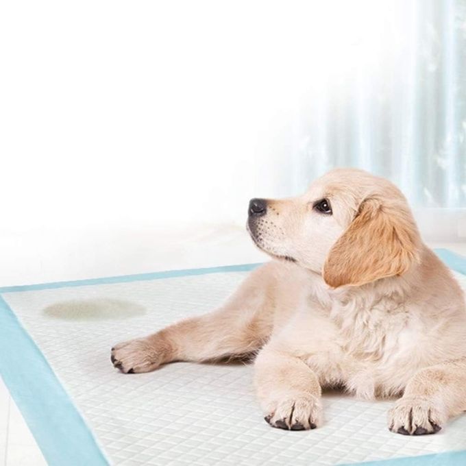 Tapis Hygiénique d'Entraînement Ultra Absorbant pour Chiens miniature 2