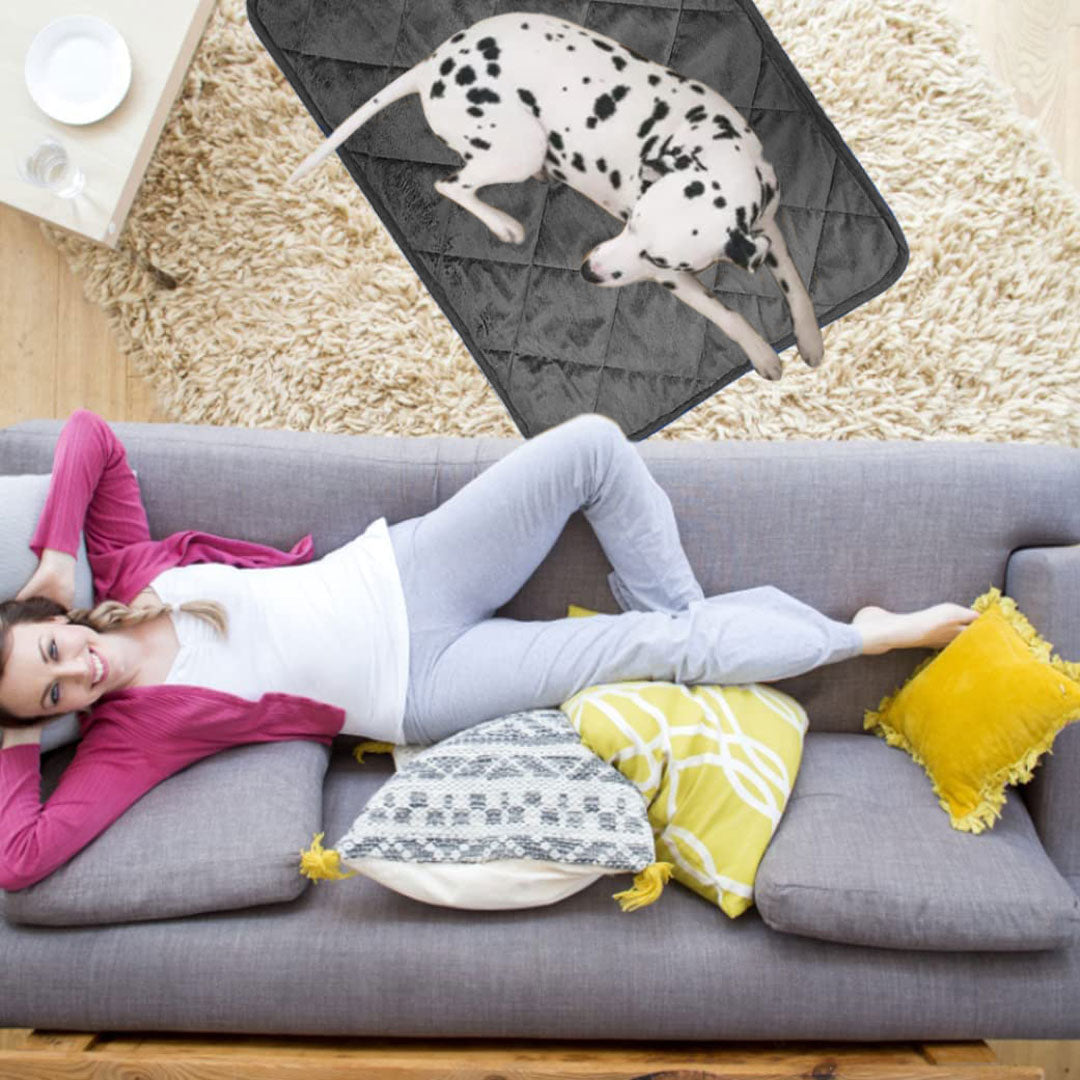 Tapis chauffant noir pour chient et chat moyens — 1