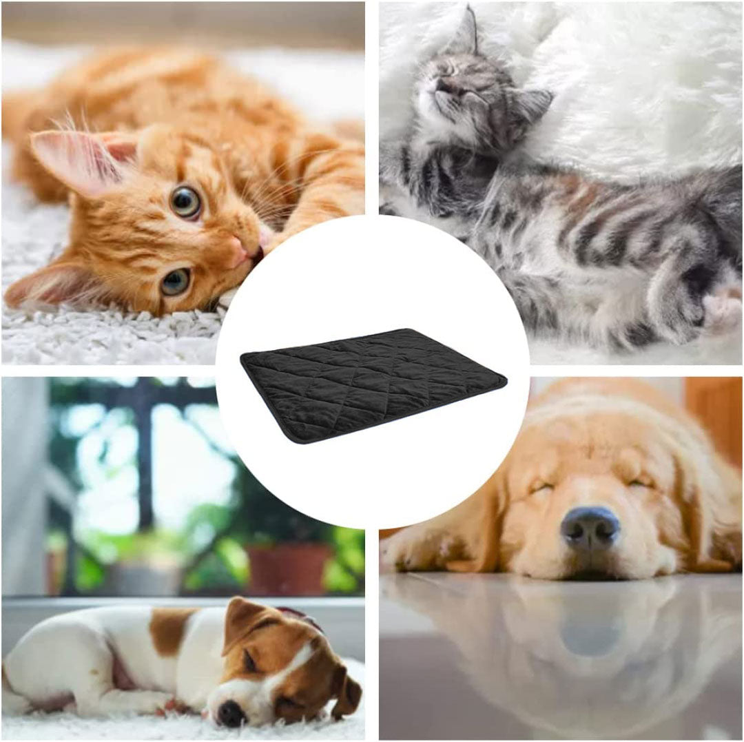 Tapis  chauffant noir pour chient et chat moyens miniature 2