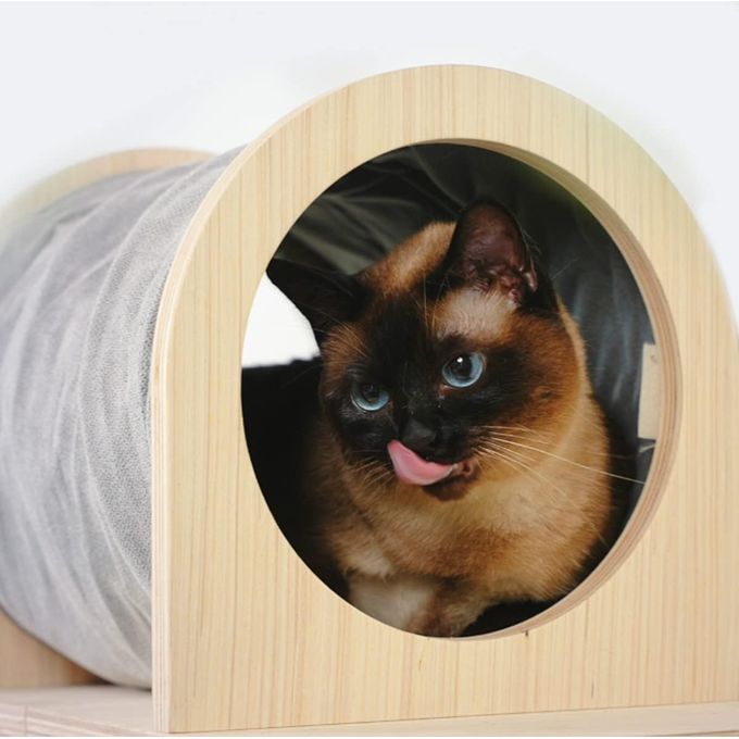 Tunnel de toilettage avec fixation au mur miniature 2