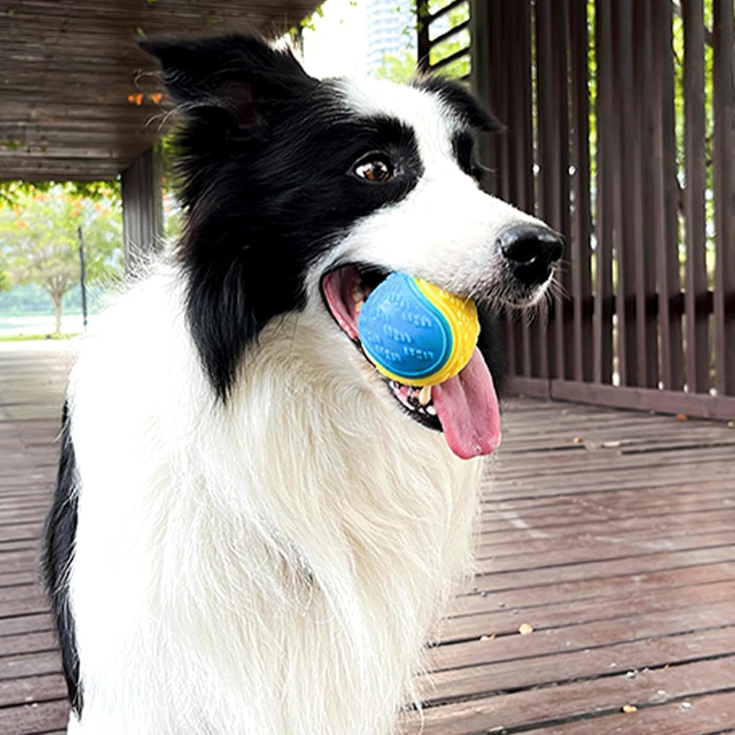 Balle à Mâcher Interactive pour Chien – Jouet Squeaky en Caoutchouc Résistant thumbnail 3