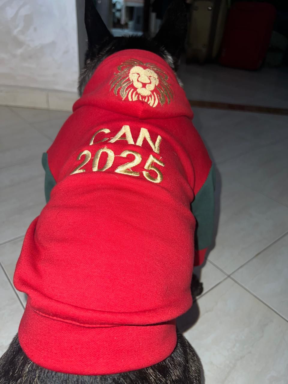 Capuche CAN 2025 thumbnail 3