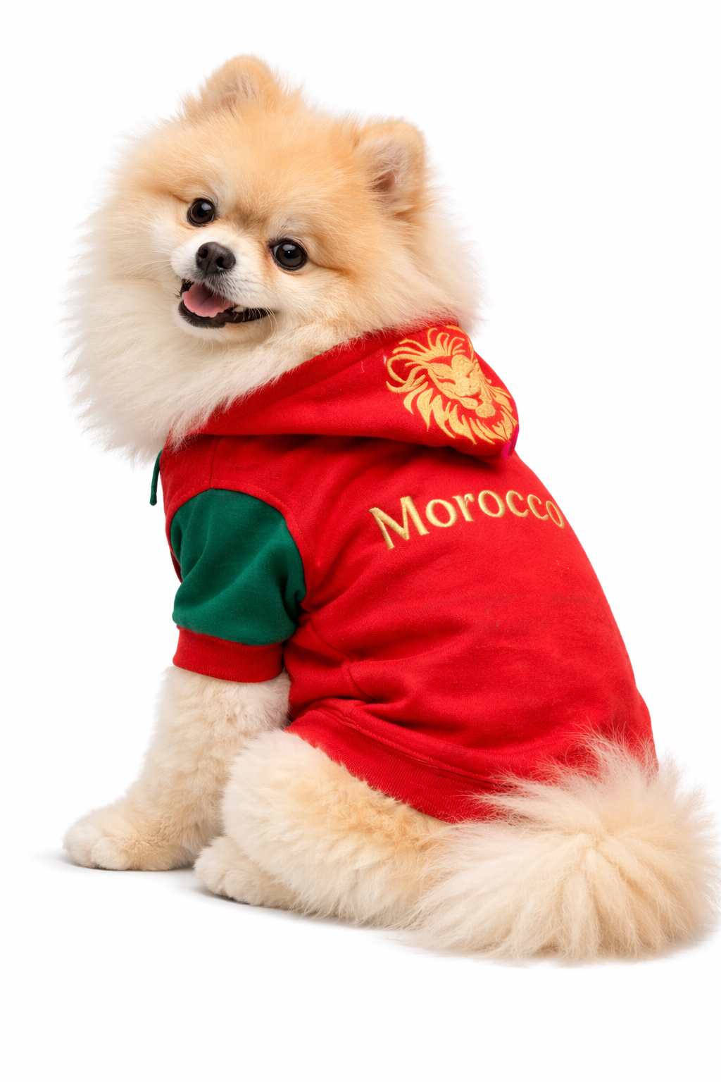 Capuchon Morocco pour chats et petits chiens