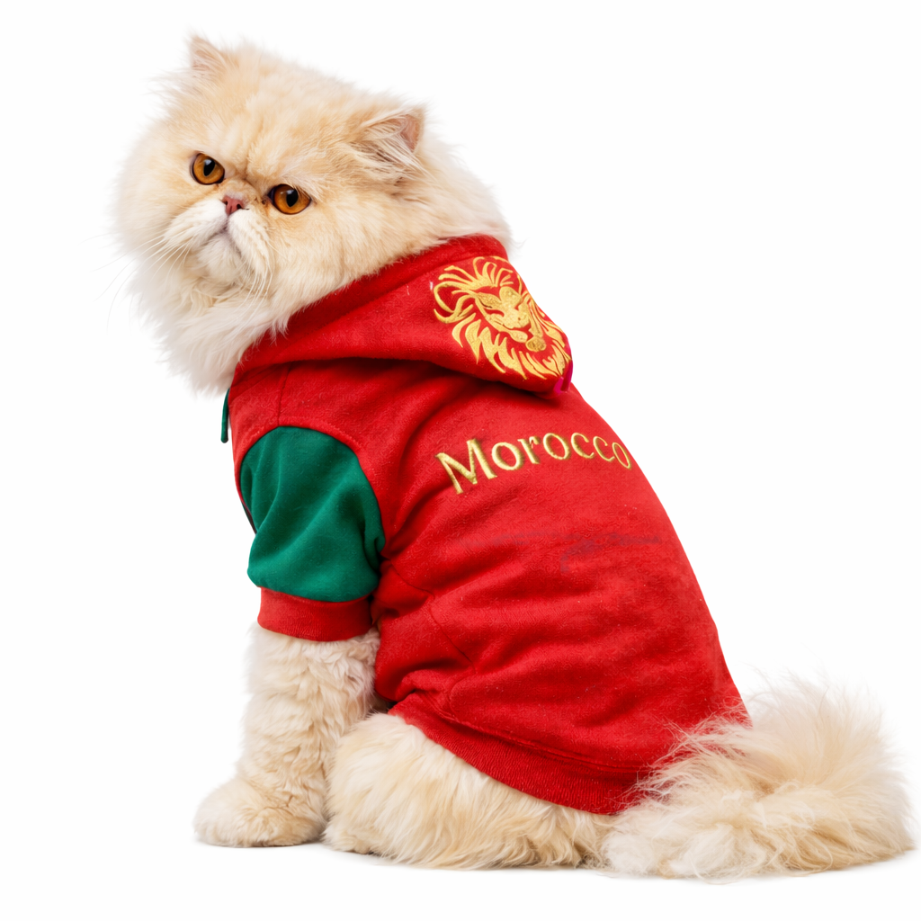 Capuchon Morocco pour chats et petits chiens - 2