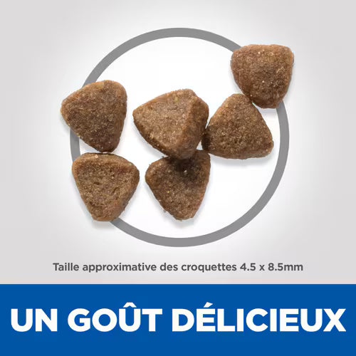 Croquettes pour chaton  – Recette au poulet – Hill’s Science Plan 300 g / 1,5 kg / 3 kg thumbnail 3