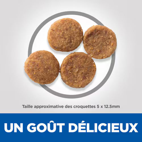 Croquettes pour chien adulte moyenne race Hill’s Science Plan - 14 kg thumbnail 3