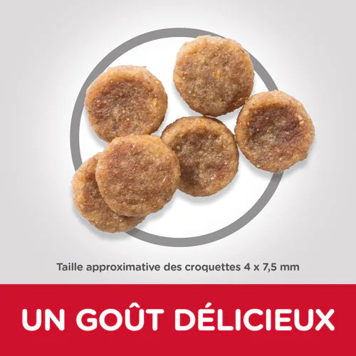 Croquettes pour chien adulte petite race Hill’s Science Plan – Poulet thumbnail 4